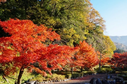 紅葉に包まれた石道寺の境内