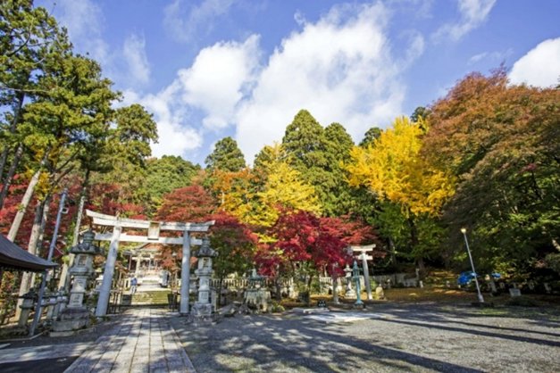 秋空の下の意冨布良神社の参道と鳥居