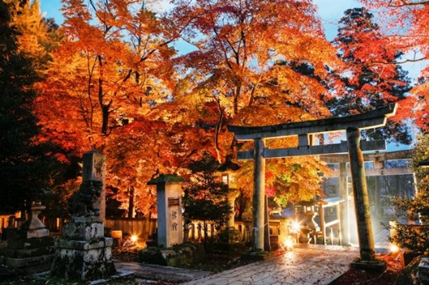 紅葉に彩られた意冨布良神社の鳥居